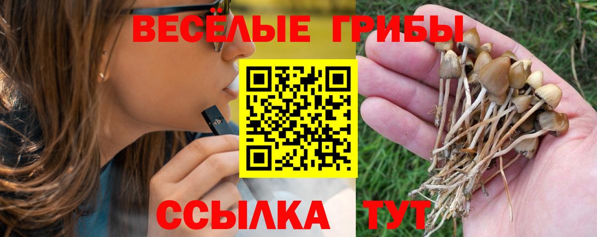Псилоцибиновые грибы прущие грибы  Псилоцибиновые грибы мухоморы  Ульяновск  Вход с VPN 